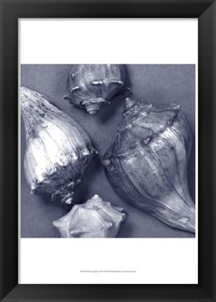 Framed Shell Convergence III Print