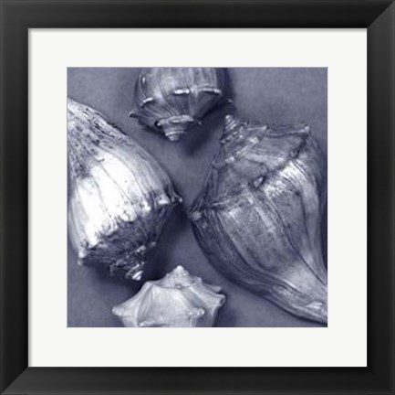 Framed Shell Convergence III Print