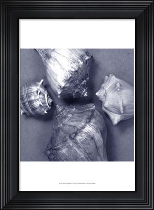 Framed Shell Convergence IV Print