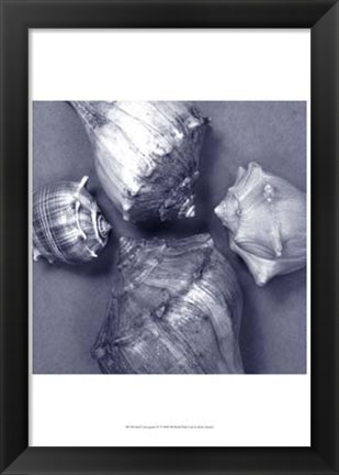 Framed Shell Convergence IV Print