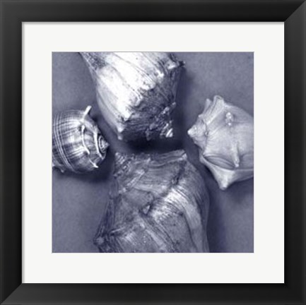 Framed Shell Convergence IV Print