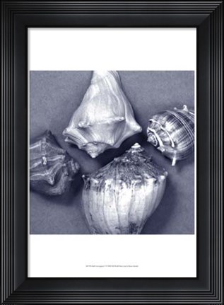 Framed Shell Convergence V Print