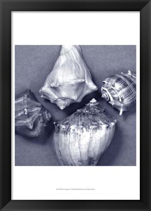 Framed Shell Convergence V Print