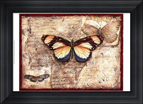 Framed Poetic Butterfly I Print