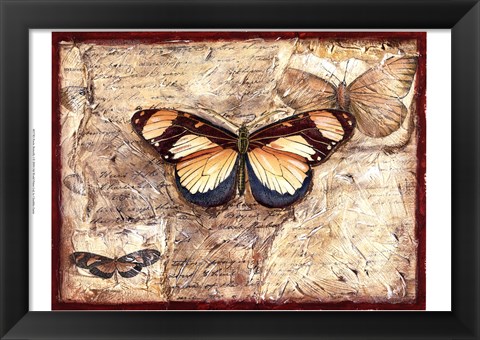 Framed Poetic Butterfly I Print