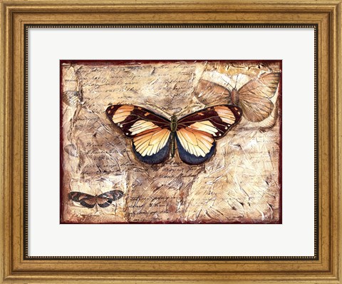 Framed Poetic Butterfly I Print