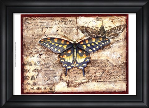 Framed Poetic Butterfly II Print