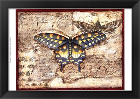 Framed Poetic Butterfly II Print