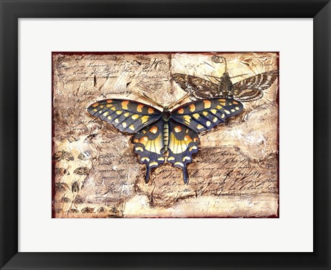 Framed Poetic Butterfly II Print