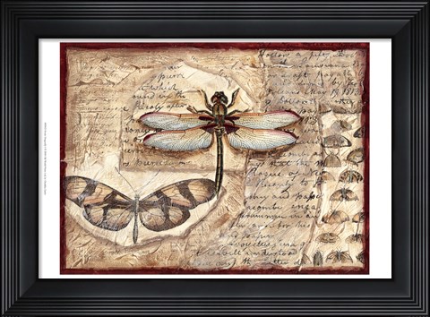 Framed Poetic Dragonfly I Print