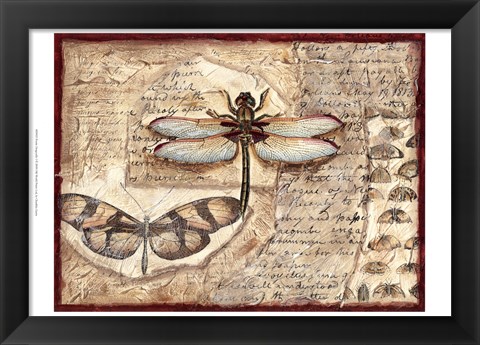 Framed Poetic Dragonfly I Print