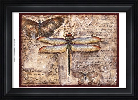 Framed Poetic Dragonfly II Print
