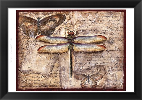 Framed Poetic Dragonfly II Print