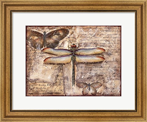 Framed Poetic Dragonfly II Print