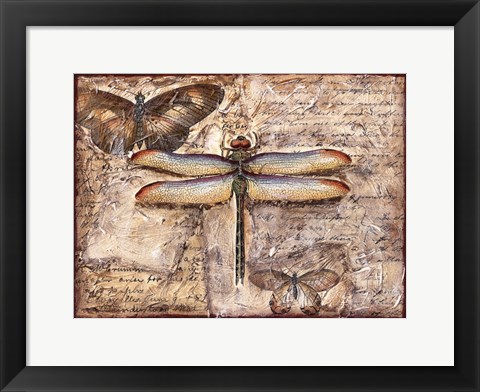 Framed Poetic Dragonfly II Print