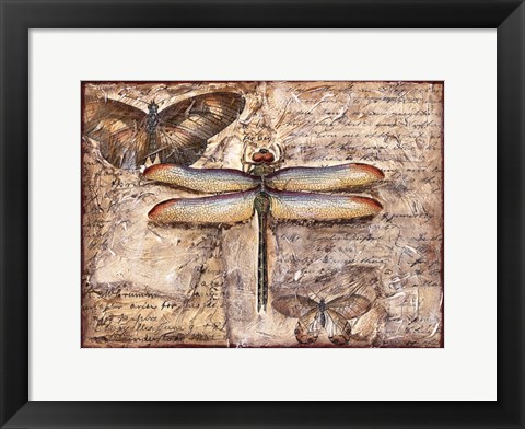 Framed Poetic Dragonfly II Print