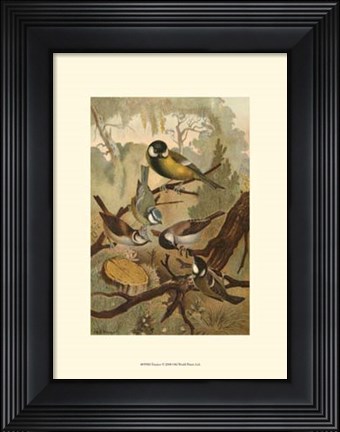 Framed Titmice Print