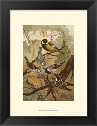 Framed Titmice Print