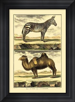 Framed Zebra and Camel Print