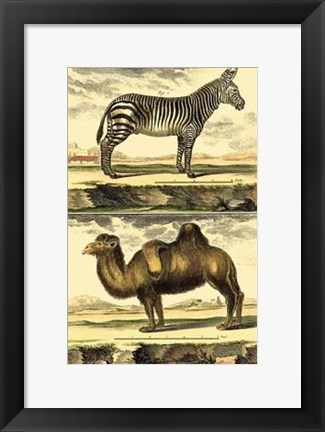 Framed Zebra and Camel Print