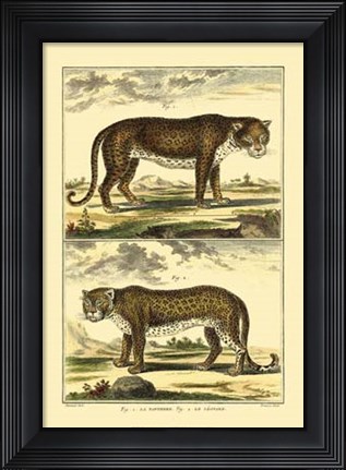 Framed Panther and Leopard Print