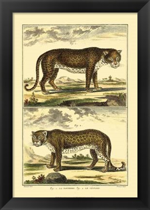 Framed Panther and Leopard Print