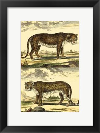Framed Panther and Leopard Print