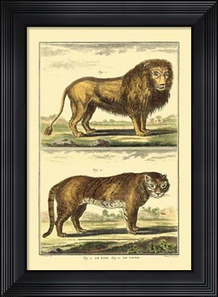 Framed Lion and Tiger Print