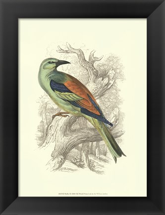 Framed Roller Print