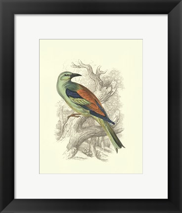 Framed Roller Print