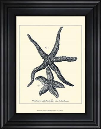 Framed Indigo Starfish I Print