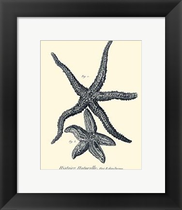 Framed Indigo Starfish I Print
