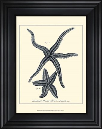 Framed Indigo Starfish II Print