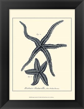 Framed Indigo Starfish II Print
