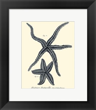 Framed Indigo Starfish II Print