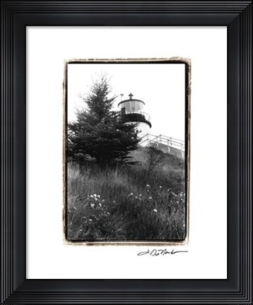 Framed Owl's Head with Tree Print