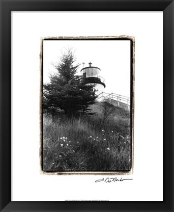 Framed Owl&#39;s Head with Tree Print