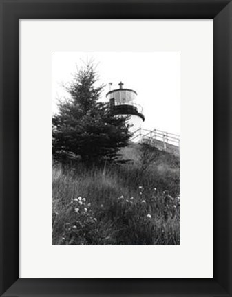 Framed Owl&#39;s Head with Tree Print