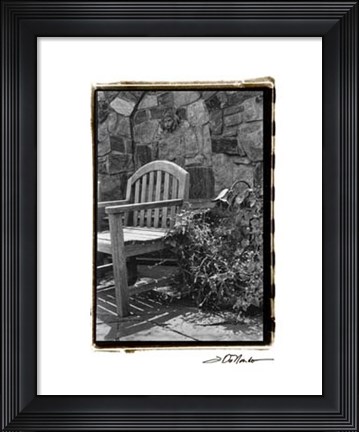 Framed Garden Respite II Print