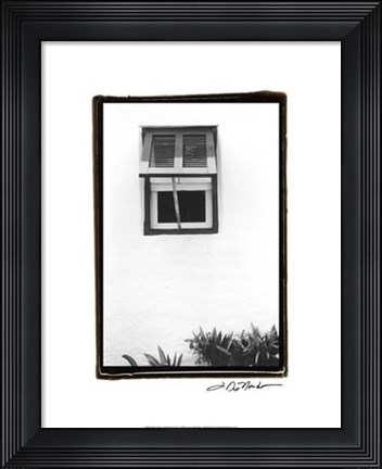 Framed Bermuda Architecture IV Print