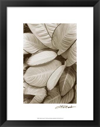 Framed Garden Textures II Print