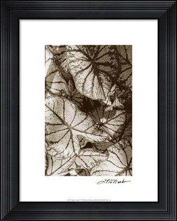 Framed Garden Textures IV Print