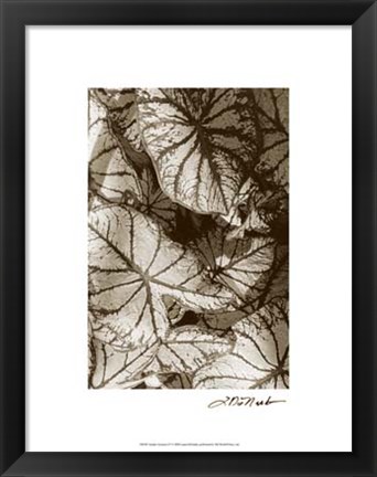 Framed Garden Textures IV Print