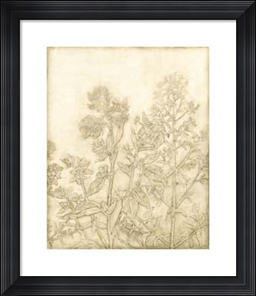 Framed Ivory Field I Print