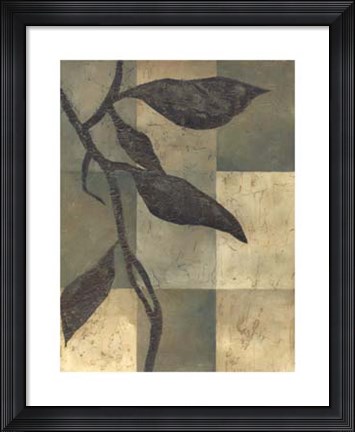 Framed Tortoise Shell I Print