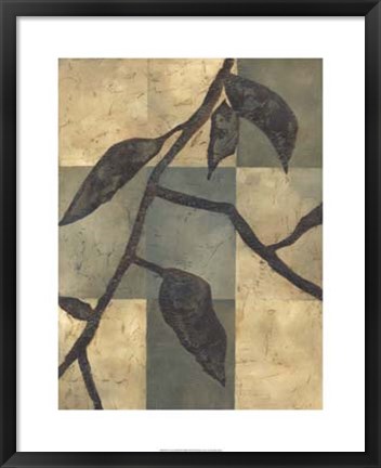 Framed Tortoise Shell II Print