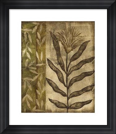 Framed Plant Exotica I Print