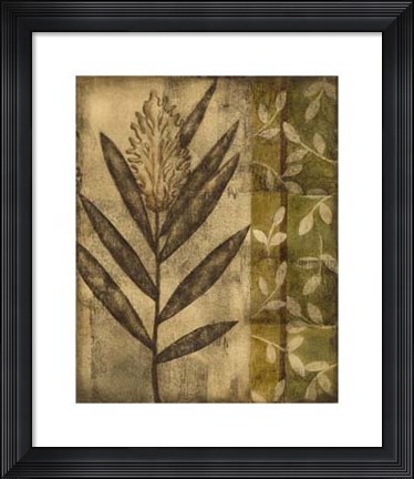 Framed Plant Exotica II Print