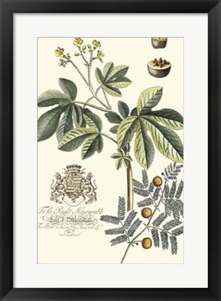 Framed Imperial Foliage I Print