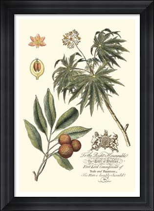 Framed Imperial Foliage II Print